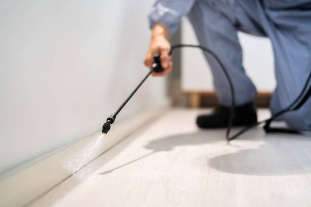 Licensed Pest Control service in Russell, KS - Show Me Pest Control