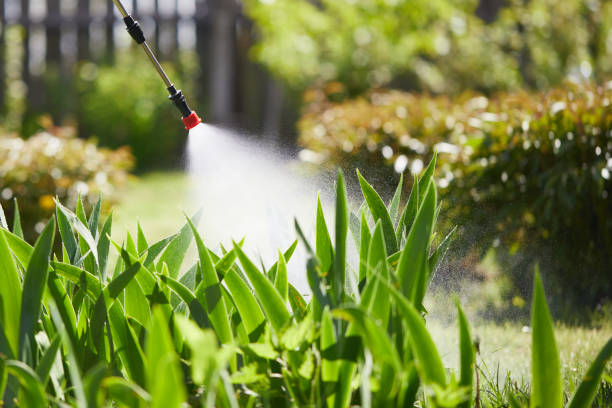 24/7 Emergency Mosquito Control experts in Russell, KS