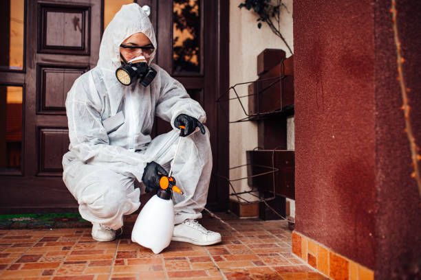 Reliable Mosquito Control contractor in Russell, KS by Show Me Pest Control